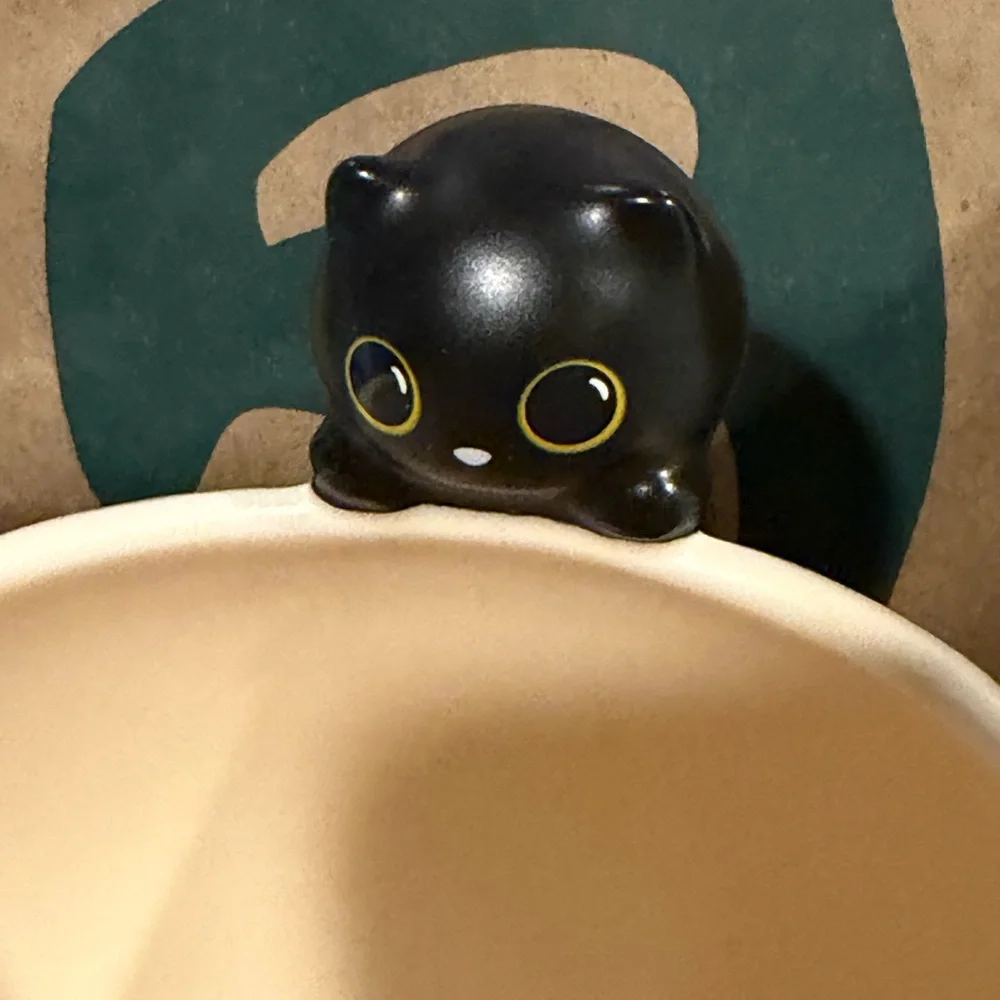 Starbucks brand new